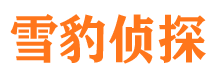 宁城市侦探调查公司